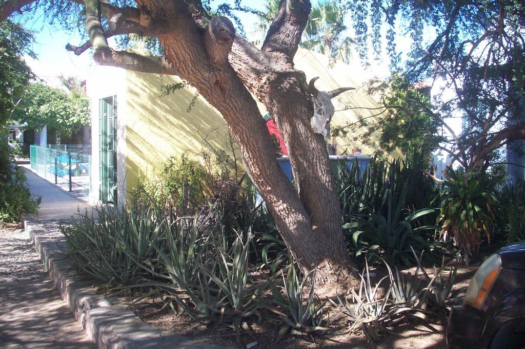 Casabuena B&B La Paz Zewnętrze zdjęcie